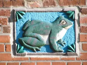 Image of Apartments im Froschhaus mit Frühstücksküchen