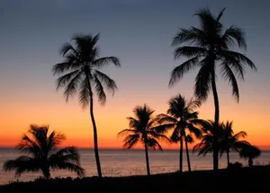 Image of Sandpiper Beach #405
