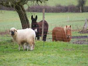 Image of La Tuilerie De Bouthiaud