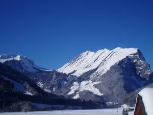 Image of Appartements Willi