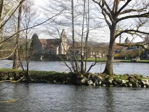 Image of Le Petit Chat