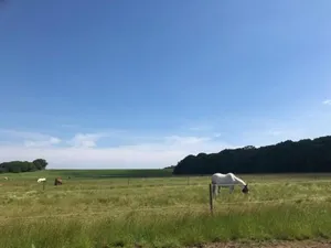 Image of Rockinghams Farm