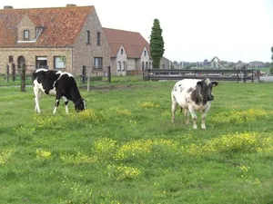 Image of 't Vossenerf