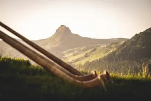 Image of Hotel Garni Alpina