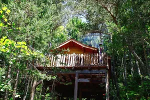 Image of La Haut