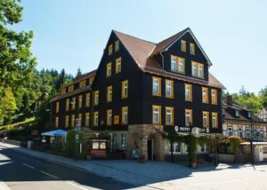 Image of GreenLine Ferienhotel Forelle