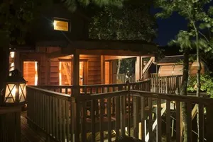 Image of Cabane Du Bois Des Nauzes