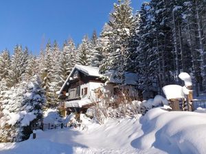 Image of Alm-Ferienhaus Gaisegg am Klippitztörl