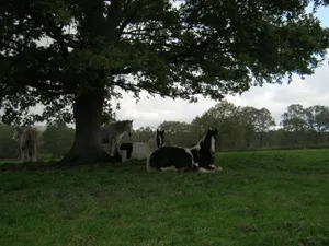 Image of B&B Les Vernelles