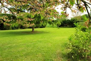 Image of le mas des cerisiers le temple sur lot