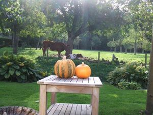 Image of Bed And Breakfast Rodenberg