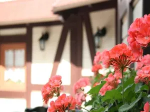 Image of Hotel Restaurant Schützen
