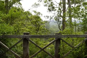 Image of Karriwood Cottage