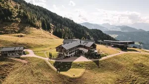 Image of KRAFTalm
