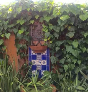 Image of Jerningham St. Cottage