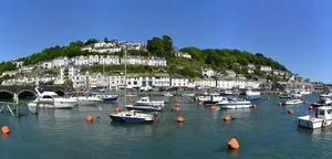 Image of Sand Martin