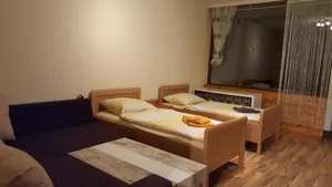 Image of Ferienwohnung - Apartment Pichlarn Irdning