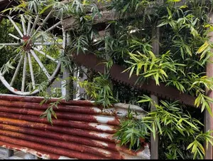 Image of Mudstone Suites