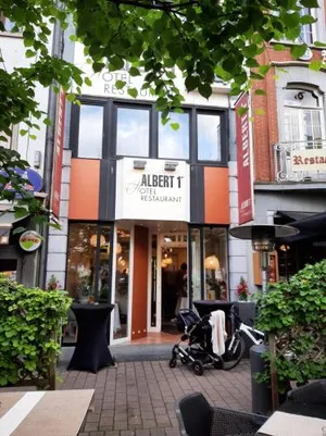 Image of Albert 1st