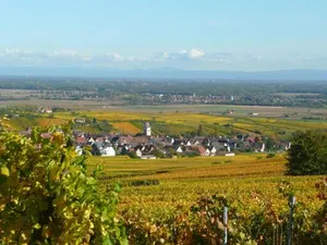 Image of Le GM