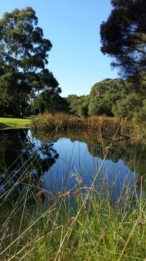 Image of Crystal Springs Holiday Accommodation