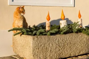 Image of Frühstückspension Herzog zu Laah