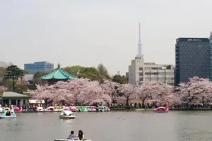 Image of Namio Apartment 201