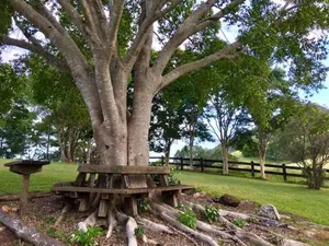 Image of Eumundi Mountain Retreat