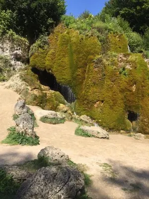 Image of FeWo Sonnenblume mit sauna