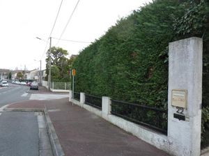 Image of L'Orangine