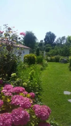 Image of Les Trois Roses