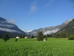 Image of Stangl - Hof