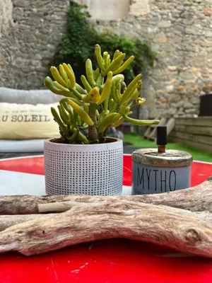 Image of Suite partner