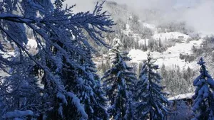 Image of Appartements Alpenblick