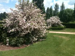Image of Glen Waverly Farmstay