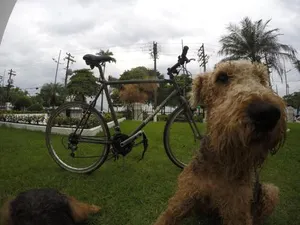 Image of Apartament Mabilde