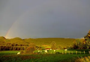Image of Terres de la Grange