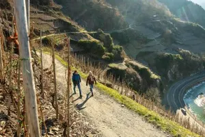 Image of Boutique L´AHRpartement Ahr-Terrasse-Zentral
