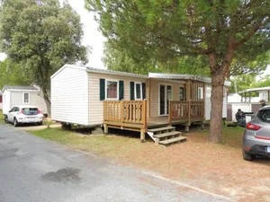 Image of Mobile Home bois dormant