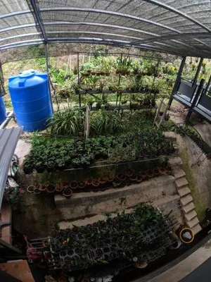 Image of Amazing Grace Lodge