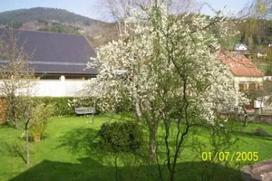 Image of Hôtel  Restaurant Du Kalblin