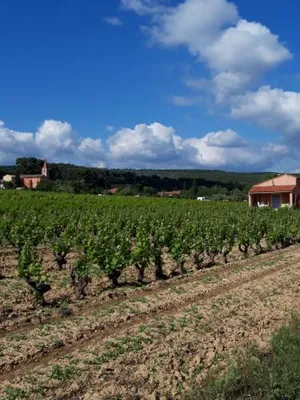 Image of Gite " Au Milieu des Vignes "