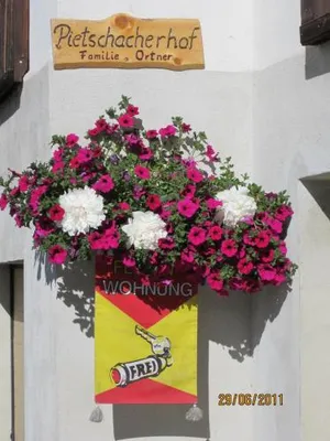Image of Ferienwohnungen am Pietschacherhof