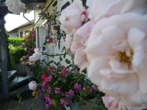 Image of Gästehaus Rosengarten im Nahetal