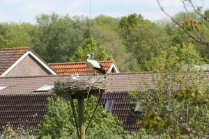 Image of Bed & Breakfast 'Aan de IJssel'