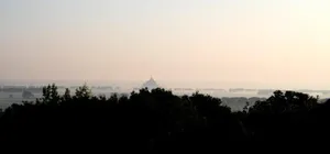 Image of Rêve du Revert