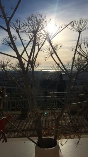 Image of Castel Pierre Lisse