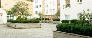 Image of Delta House