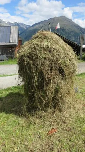 Image of Appartement Elena