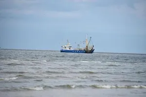 Image of Chalet Zeester J38 Ameland